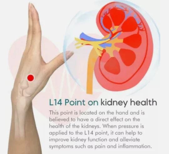 Sugar Control Acupressure Point Clip – Magnetic Finger Pressure Clip for Wellness, Relaxation & Daily Self-Care